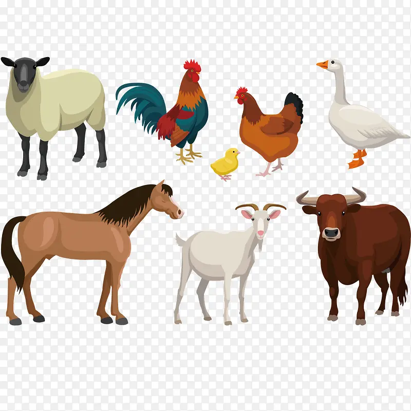农场动物的矢量插图