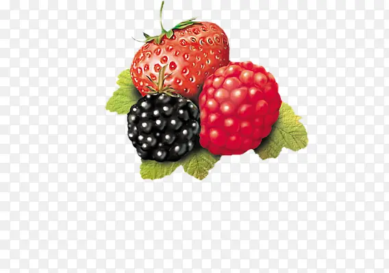 草莓和野莓