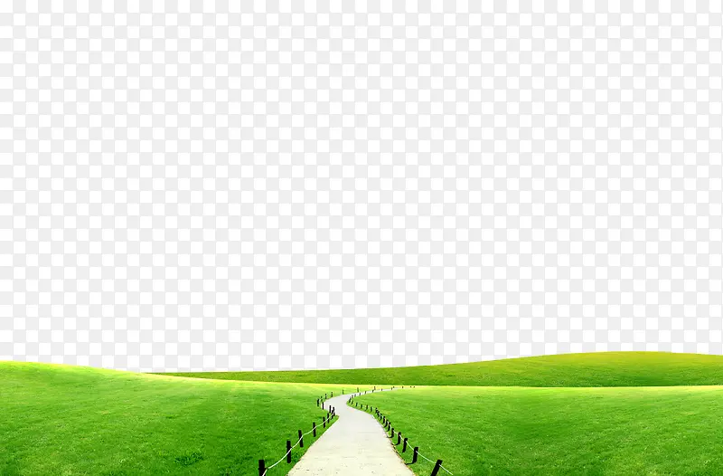 草原道路