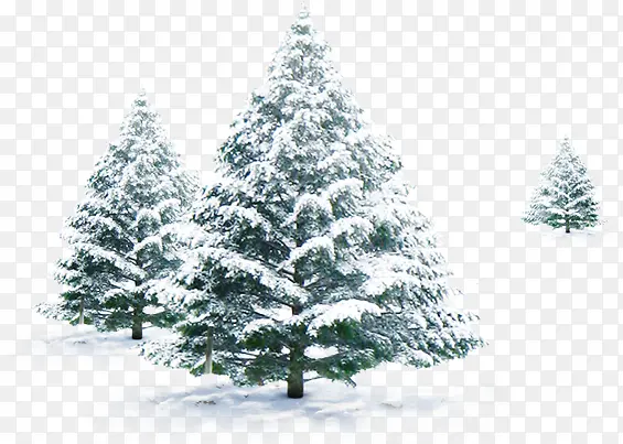 树木白茫茫冬季雪景
