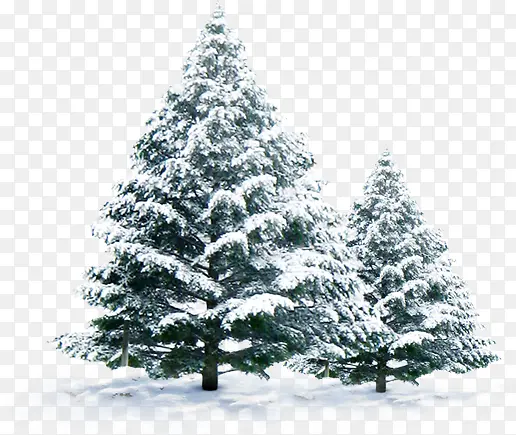 雪树白茫茫冬季雪景