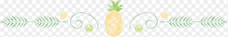 矢量图菠萝分割线