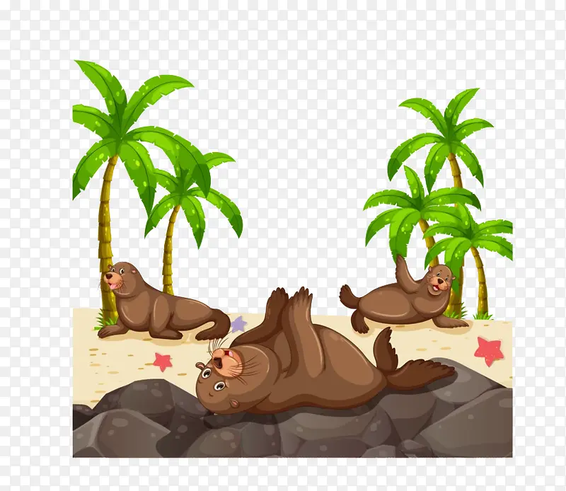 海狮和椰子树