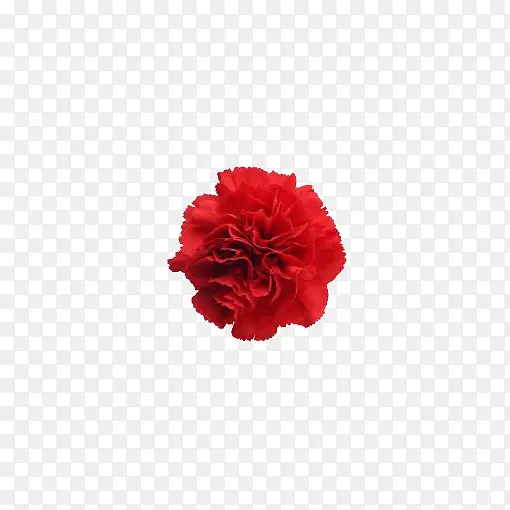 红色花朵装饰