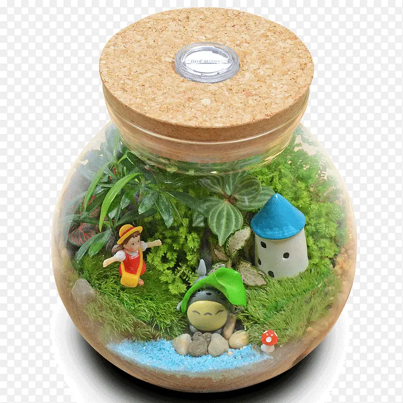 苔藓微景观生态瓶