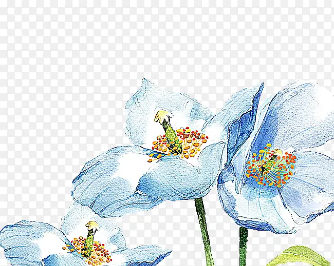 水蓝优雅花朵