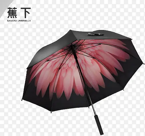 黑色的雨伞花卉图案