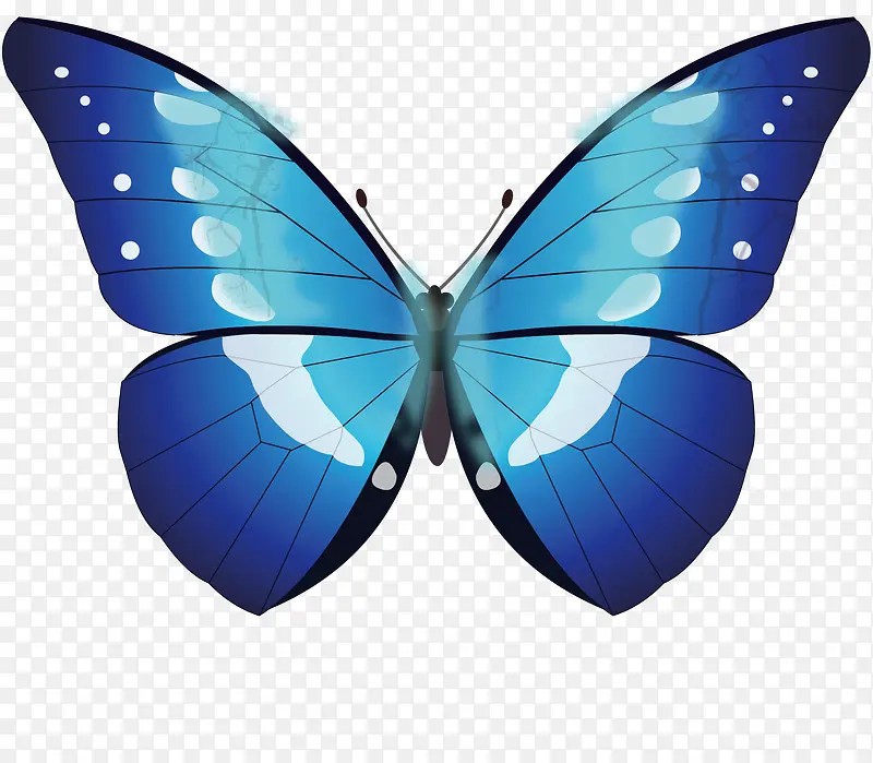矢量图蓝色的蝴蝶