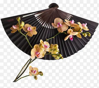 鲜花傻子
