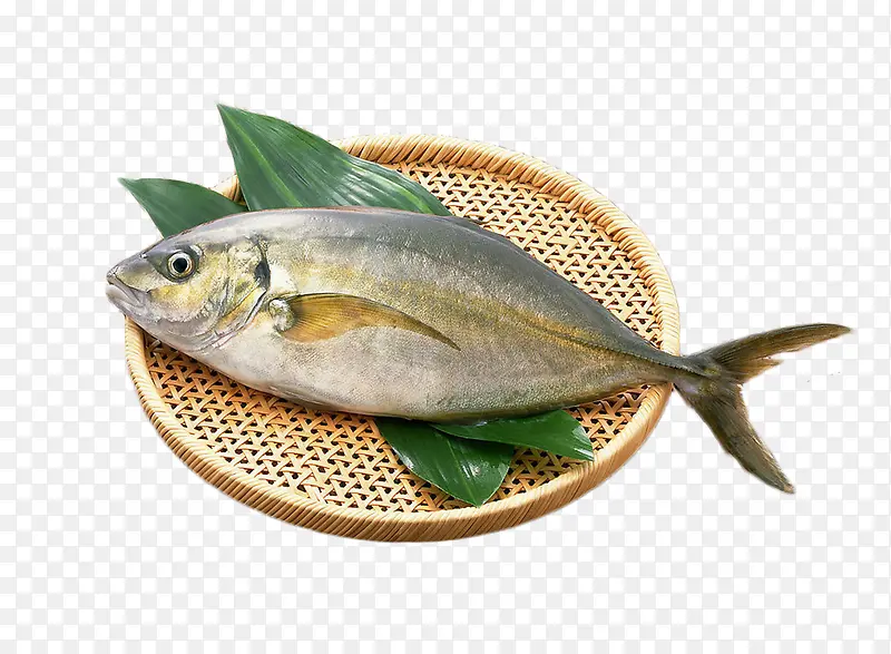 一条活鱼 新鲜海鱼