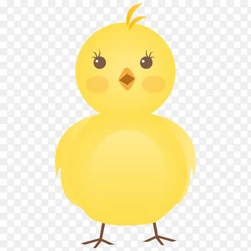 新生儿鸡cute-chicken-icons