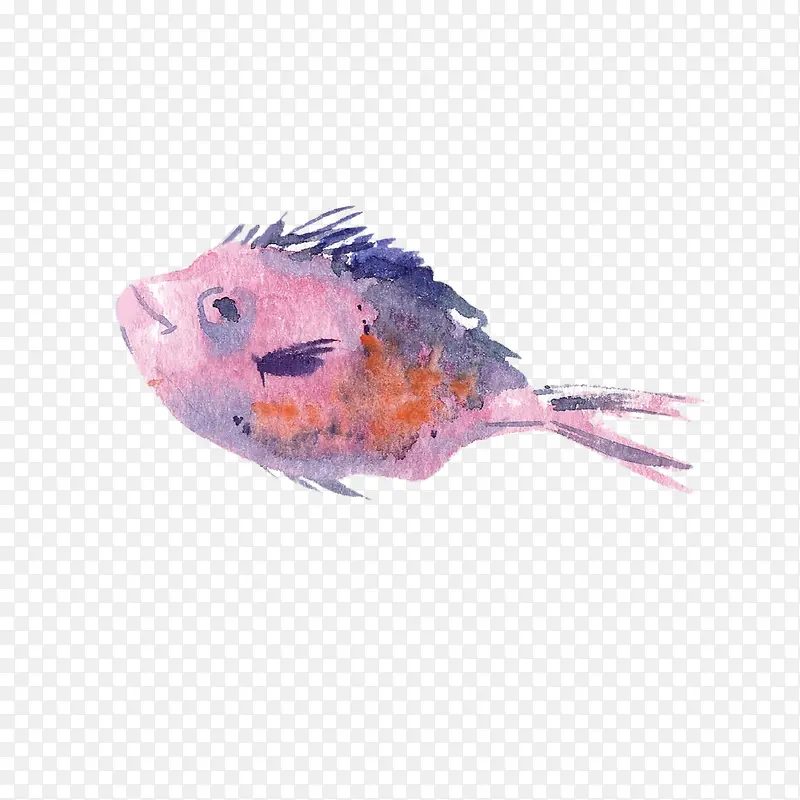 手绘彩色的小鱼