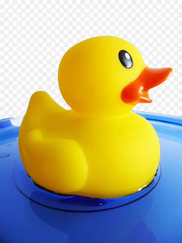 黄色绝缘体在游泳的橡胶鸭实物
