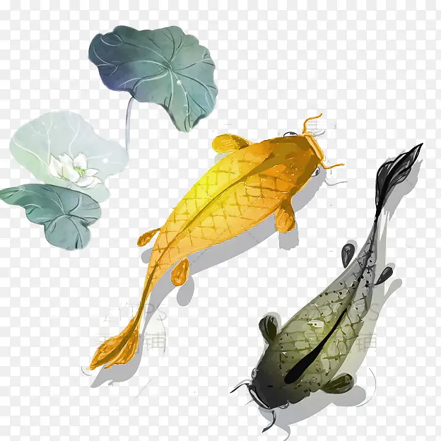 黄色中国风荷塘鲤鱼装饰图案