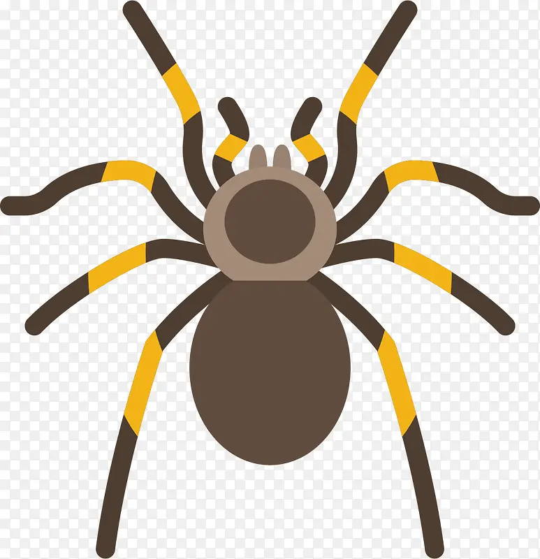 褐色扁平黄点蜘蛛