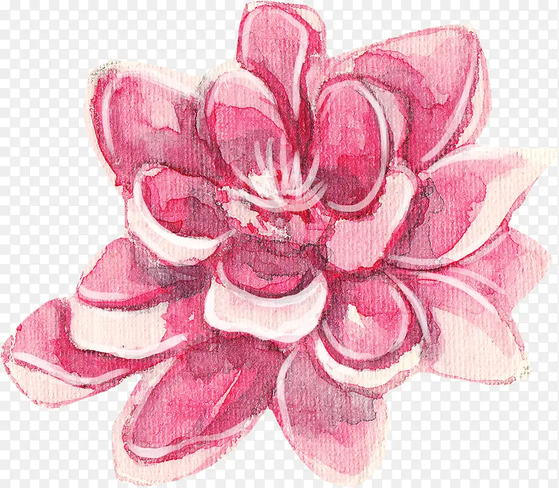 手绘粉色花朵装饰