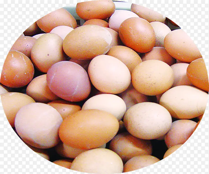 新鲜禽类鸡蛋食物