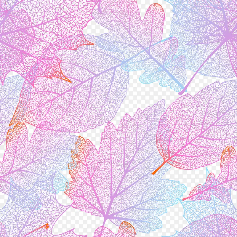 紫色美丽树叶