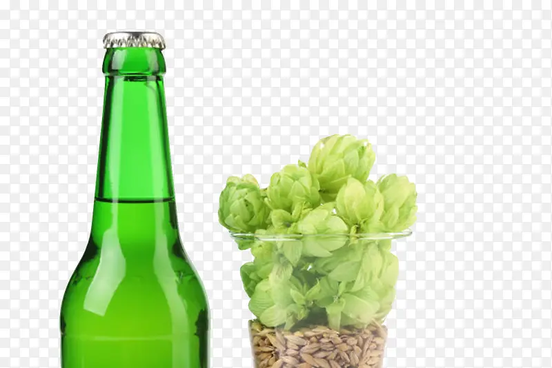绿色果状植物啤酒酒花酒瓶实物