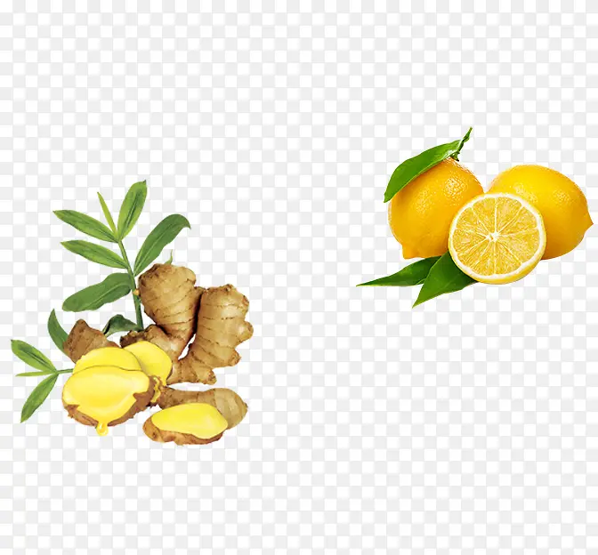 生姜柠檬装饰图案