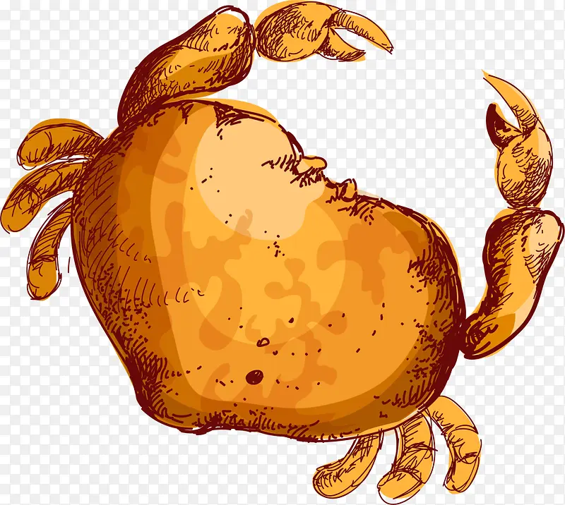 世界海洋日手绘橙色螃蟹