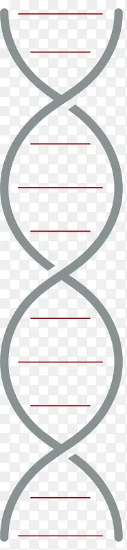 环绕灰色描边矢量DNA