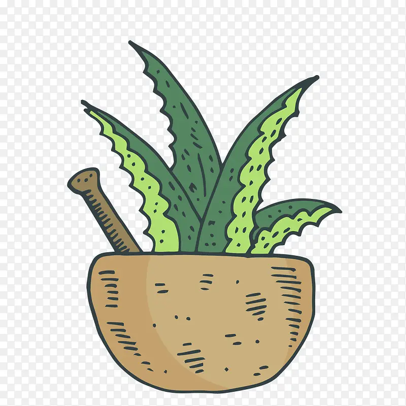 矢量手绘芦荟制品