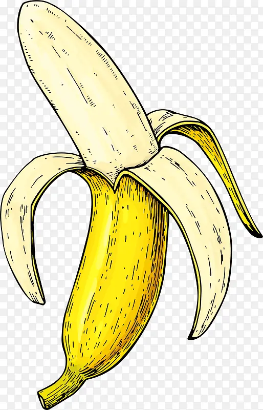 夏季手绘拨开的香蕉