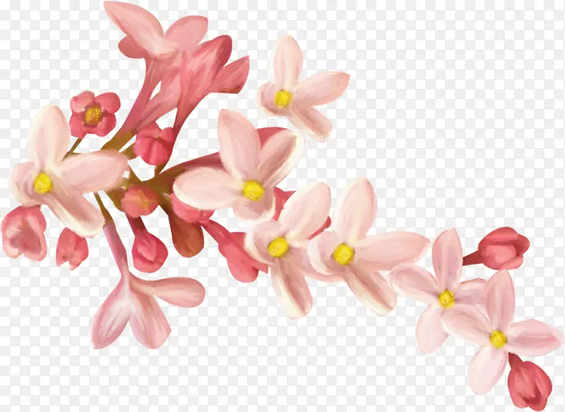 粉色手绘桃花枝头花朵
