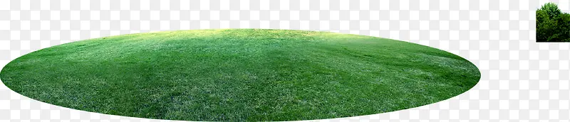 椭圆形的草地