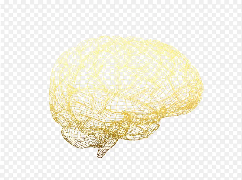 3D大脑分析图