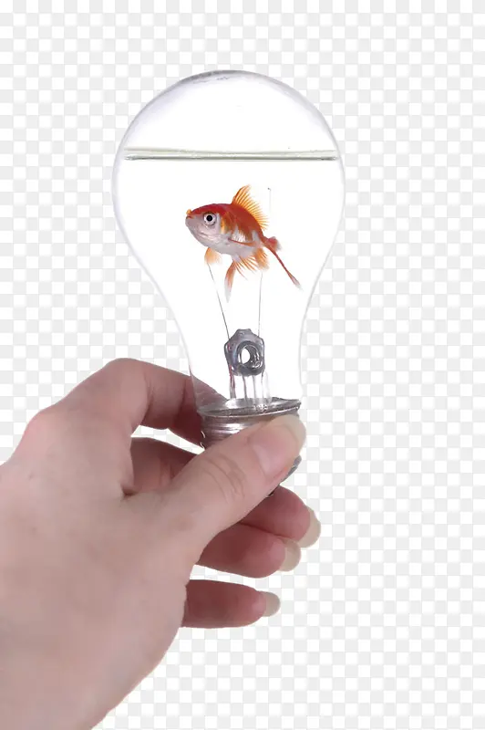 创意灯泡中的金鱼