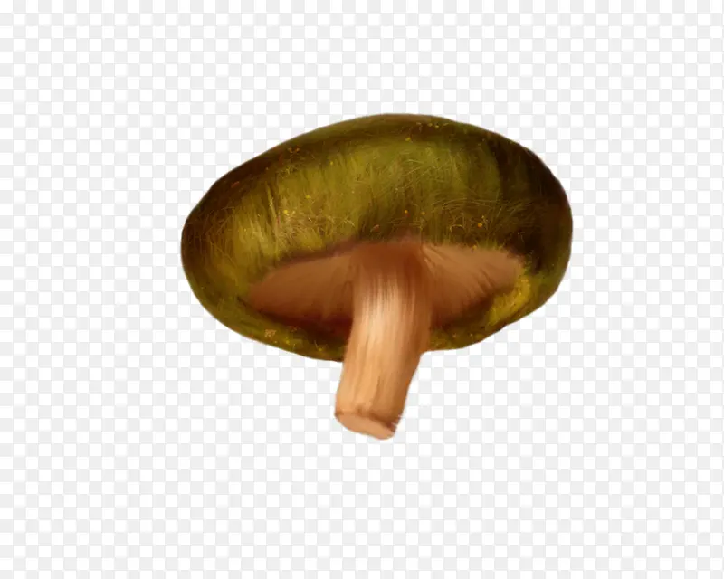 高清蘑菇 一颗png素材