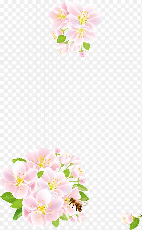 花卉边框设计