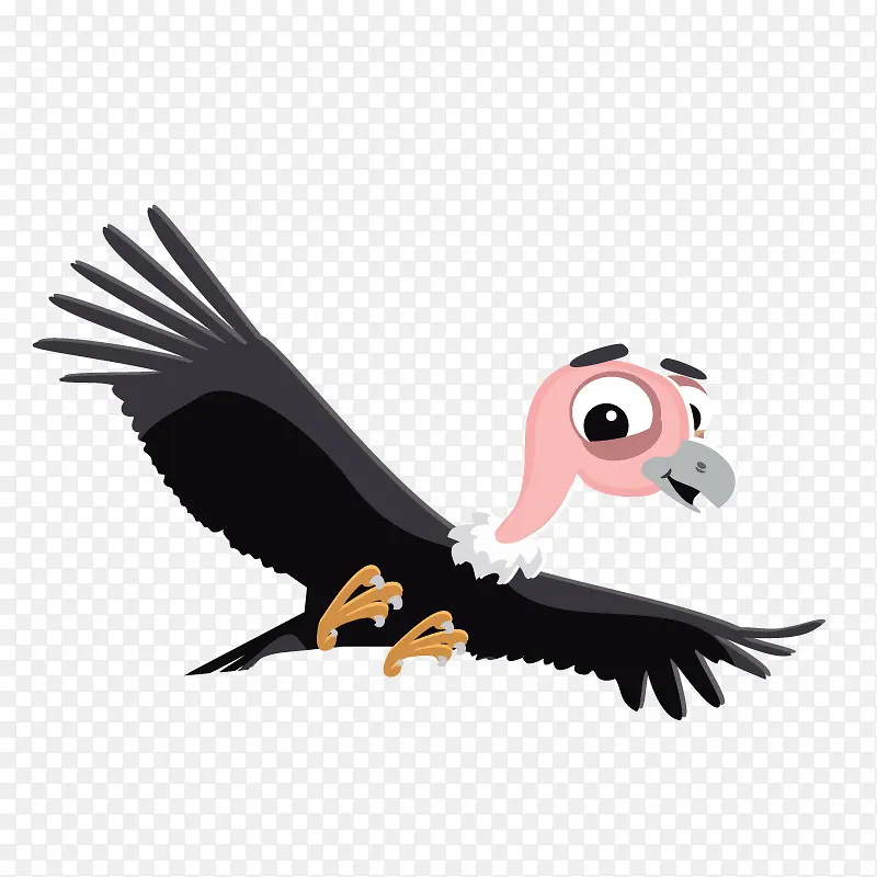 黑色翅膀的秃鹫