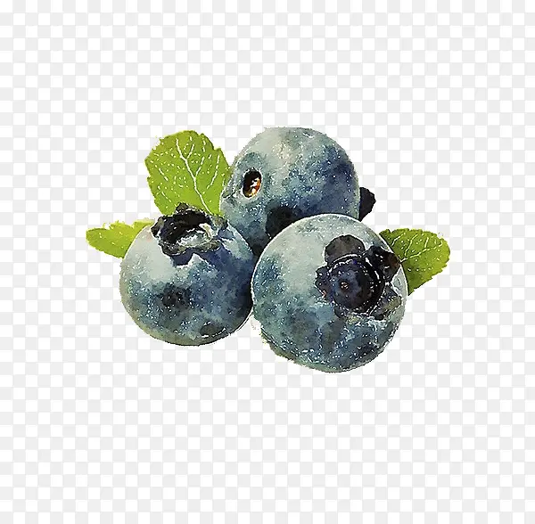手绘写实风的蓝莓
