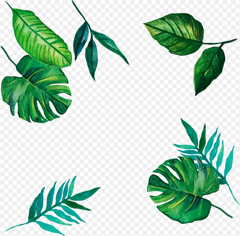 矢量手绘INS绿色植物