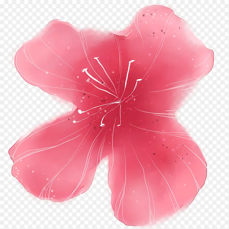 水粉红色鲜花