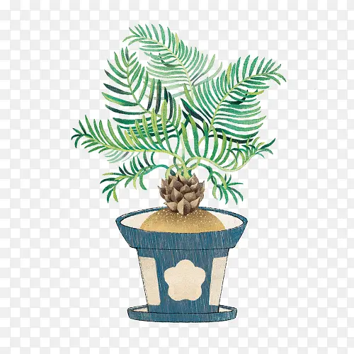 手绘盆栽植物