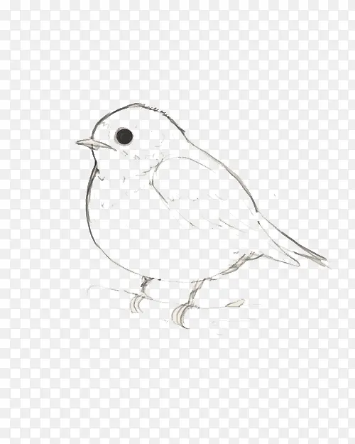 手绘线描小鸟