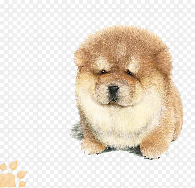 手绘小狗