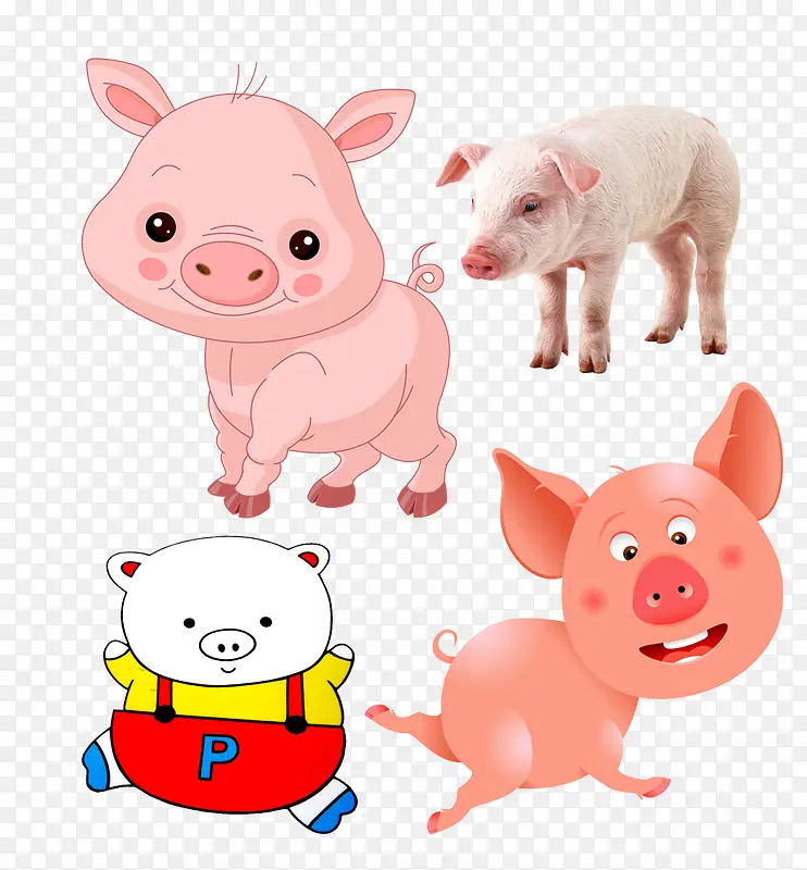 小猪主题图片