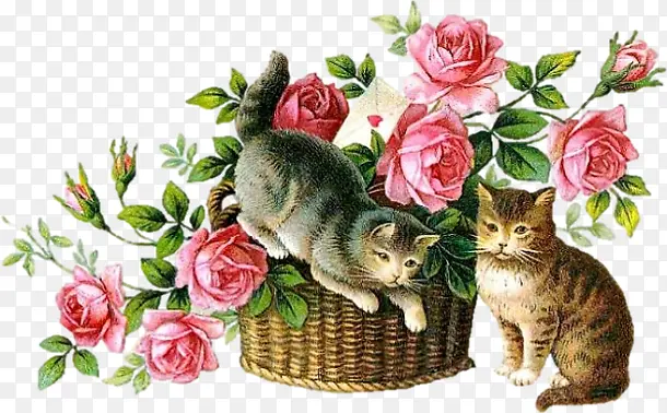 卡通手绘花朵动物小猫