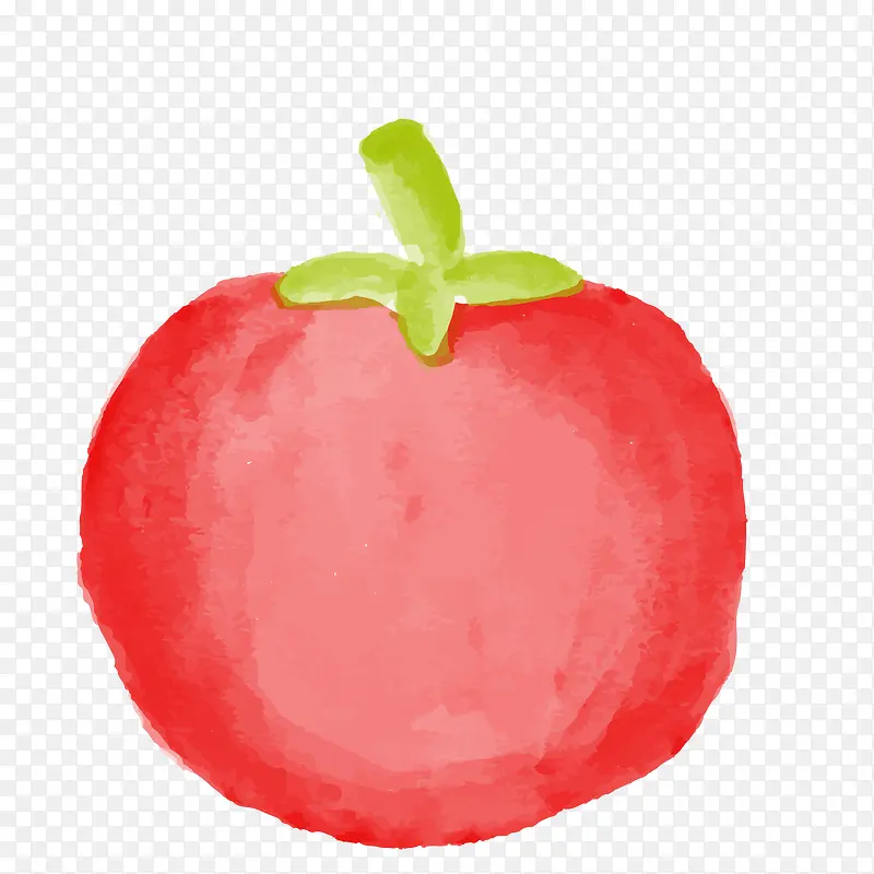 卡通手绘彩绘西红柿