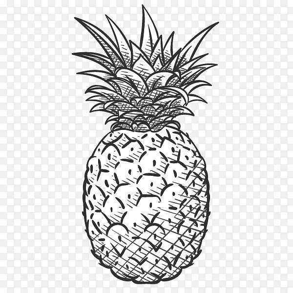 卡通手绘线描菠萝