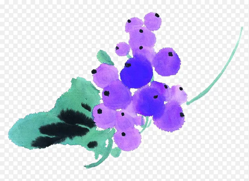 紫葡萄国画