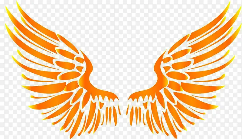 对称橙色翅膀