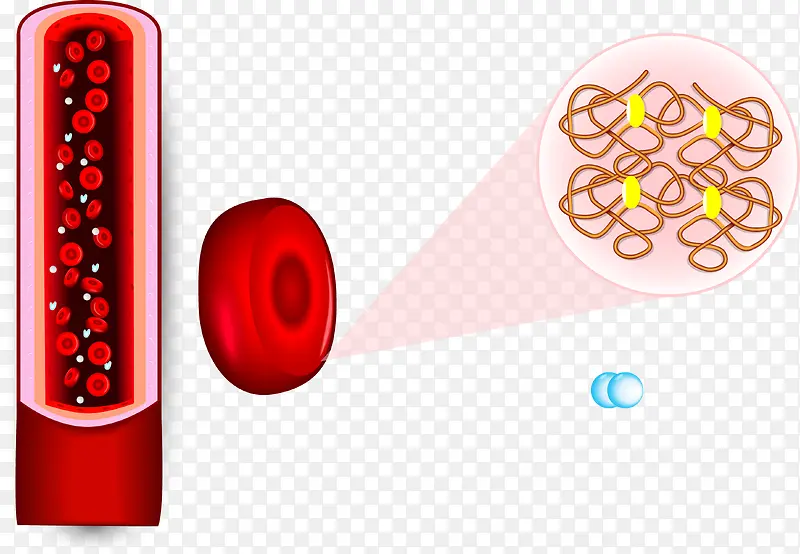 血管氧气铁元素
