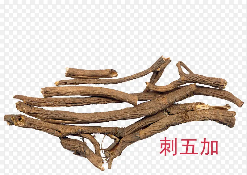 刺五加中药PNG图片素材下载_图片编号8413704-PNG素材网