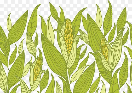 卡通手绘农作物玉米玉米杆